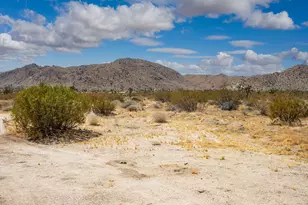 7382 Olympic Rd, Joshua Tree, CA 92252 - Photo 29