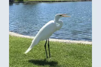 74711 Dillon Rd Spc 1013, Desert Hot Springs, CA 92241 - Photo 25