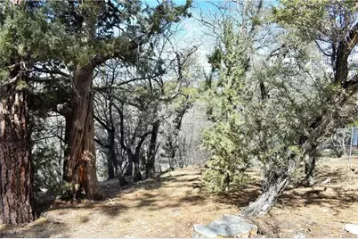 468 Inyo Avenue, Sugarloaf, CA 92386 - Photo 3