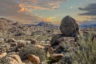 7201 Alturas Dr, Joshua Tree, CA 92252 - Photo 3