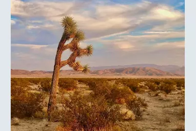 40101 Sunfair Road, Joshua Tree, CA 92252 - Photo 7