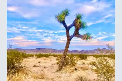 40101 Sunfair Road, Joshua Tree, CA 92252 - Photo 23