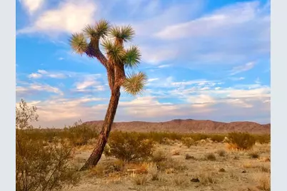 40101 Sunfair Road, Joshua Tree, CA 92252 - Photo 3