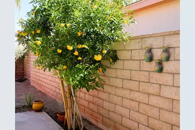 74456 Angels Camp Road, Palm Desert, CA 92260 - Photo 19