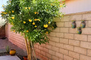 74456 Angels Cp Rd, Palm Desert, CA 92260 - Photo 19