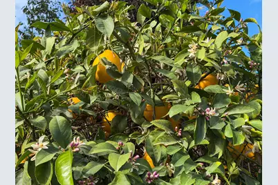 80394 Ave 48 #126, Indio, CA 92201 - Photo 15