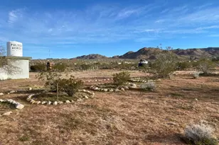 5457 Larrea Rd, Johnson Valley, CA 92285 - Photo 13