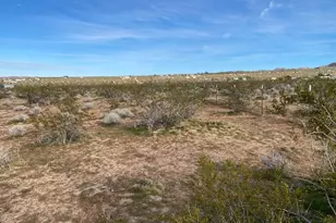 5457 Larrea Rd, Johnson Valley, CA 92285 - Photo 19