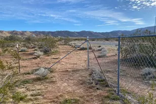 5457 Larrea Rd, Johnson Valley, CA 92285 - Photo 15