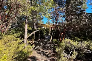 25630 Sunrise Dr, Idyllwild, CA 92549 - Photo 3