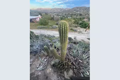 49075 Matzene Drive, Morongo Valley, CA 92256 - Photo 15