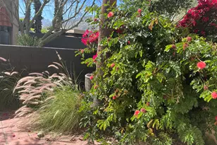 232 E Via Escuela, Palm Springs, CA 92262 - Photo 29