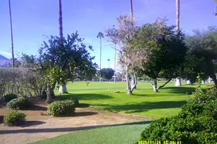 46335 Burroweed Ln, Palm Desert, CA 92260 - Photo 31