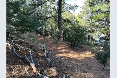 0 Green Craig, Idyllwild, CA 92549 - Photo 15