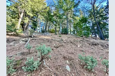 0 Green Craig, Idyllwild, CA 92549 - Photo 3