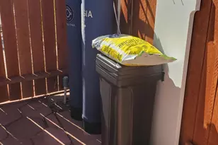 831 W George St, Banning, CA 92220 - Photo 23