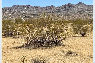117 Border Road, Joshua Tree, CA 92252 - Photo 9