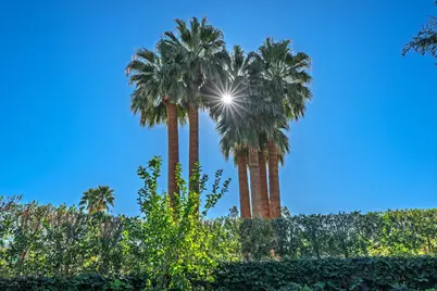 72776 Joshua Tree Street, Palm Desert, CA 92260 - Photo 47