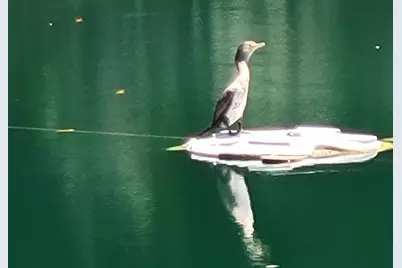 360 Andorra Way, Cathedral City, CA 92234 - Photo 53