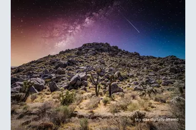 61093 Prescott Trail, Joshua Tree, CA 92252 - Photo 3