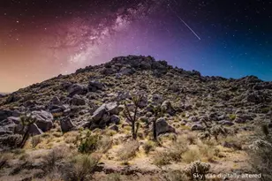 61093 Prescott Trail, Joshua Tree, CA 92252 - Photo 3