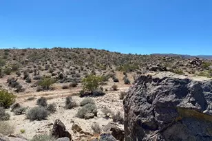 5168 Lazy Ln, Johnson Valley, CA 92285 - Photo 1