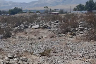 0 Dillon Road, Sky Valley, CA 92241 - Photo 13