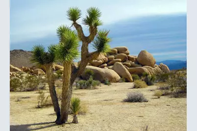 8837 Hardesty Drive Drive, Yucca Valley, CA 92284 - Photo 33