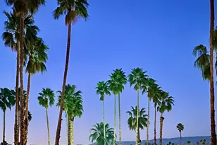 2696 S Sierra Madre, Palm Springs, CA 92264 - Photo 63