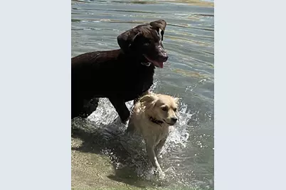 83333 N Shore Drive, Indio, CA 92203 - Photo 47