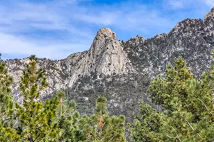 54680 Falling Leaf Dr, Idyllwild, CA 92549 - Photo 69