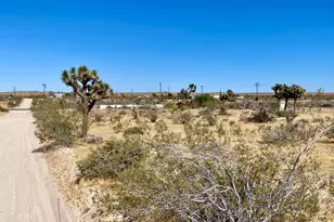 1588 Old Woman Springs Rd, Yucca Valley, CA 92284 - Photo 63