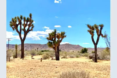 1588 Old Woman Springs Road, Yucca Valley, CA 92284 - Photo 61