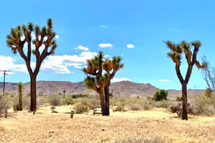 1588 Old Woman Springs Rd, Yucca Valley, CA 92284 - Photo 61