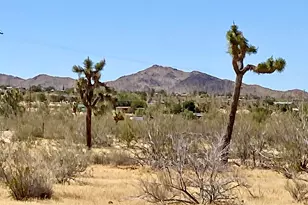 1588 Old Woman Springs Rd, Yucca Valley, CA 92284 - Photo 47
