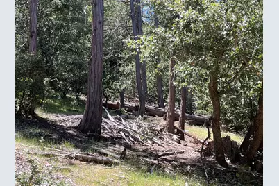 0 Middleridge Drive, Idyllwild, CA 92549 - Photo 13