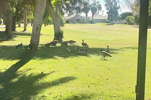 82567 Ave 48, Indio, CA 92201 - Photo 17