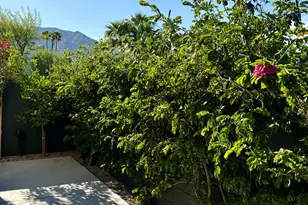 179 The Riv, Palm Springs, CA 92262 - Photo 23