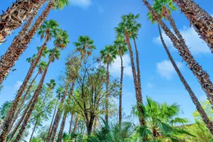 360 Cabrillo Road, Palm Springs, CA 92262 - Photo 45