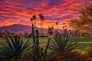 2417 Los Patos Dr, Palm Springs, CA 92264 - Photo 39