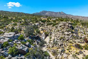 0 Carrizo Rd, Mountain Center, CA 92561 - Photo 9