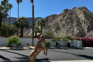 51230 Avenida Obregon, La Quinta, CA 92253 - Photo 31