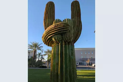 82930 Corte Lucia, Indio, CA 92201 - Photo 35