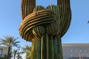 82930 Corte Lucia, Indio, CA 92201 - Photo 35