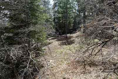 1530 Tuolumne Road, Big Bear Lake, CA 92314 - Photo 27