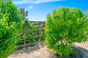 11365 Hess Blvd, Morongo Valley, CA 92256 - Photo 37