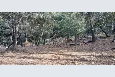0 Alder Creek Road, Crestline, CA 92325 - Photo 1