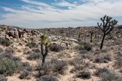 101 Hondo Street, Pioneertown, CA 92268 - Photo 1