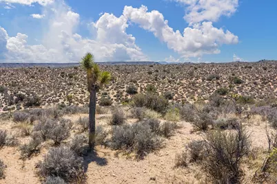 101 Hondo Street, Pioneertown, CA 92268 - Photo 21