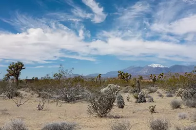 60531 Cielito Drive, Joshua Tree, CA 92252 - Photo 7